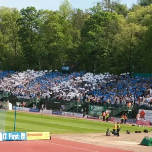 Brighton & Hove Albion vs Stockport County: The Excitement of the Crowd (Withdean Era - 02/05/09) Brighton & Hove Albion vs Stockport County: The Excitement of the Crowd (Withdean Era - 02/05/09)