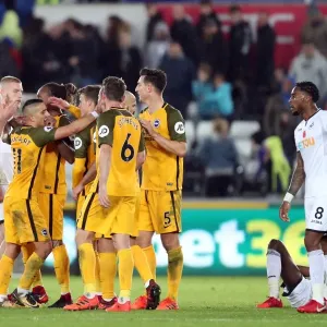 Brighton and Hove Albion vs Swansea City: Premier League Showdown at Liberty Stadium (Nov 2017) Brighton and Hove Albion vs Swansea City: Premier League Showdown at Liberty Stadium (Nov 2017)