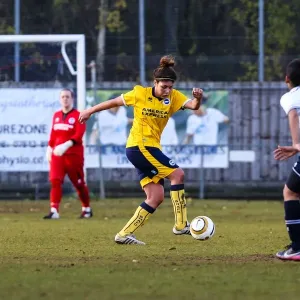 Brighton & Hove Albion vs. Tottenham: A Battle in the 2013-14 Women's Football Season Brighton & Hove Albion vs. Tottenham: A Battle in the 2013-14 Women's Football Season