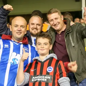Brighton & Hove Albion vs. Tottenhotspur: 2014-15 Away Game Brighton & Hove Albion vs. Tottenhotspur: 2014-15 Away Game