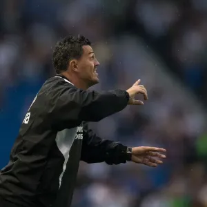 Brighton & Hove Albion vs Villarreal: Pre-Season Friendly (2013-14)