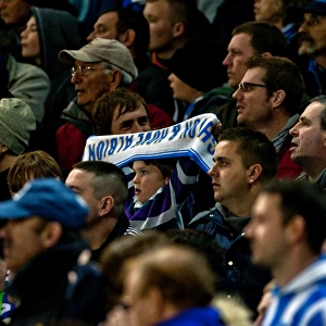 Brighton & Hove Albion vs. Watford (2011-12): A Home Game Review - 17-04-2012