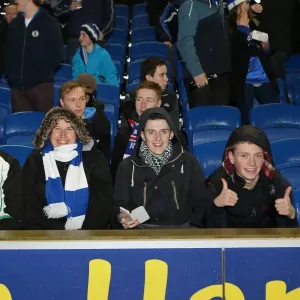 Brighton & Hove Albion vs. Watford (2012-13 Home Game)