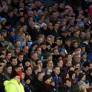 Brighton & Hove Albion vs. Watford (2012-13): A Home Game - December 29, 2012 (Watford)