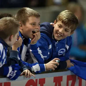 Brighton & Hove Albion vs. Watford (2012-13): A Nostalgic Look Back at Our Past Home Game