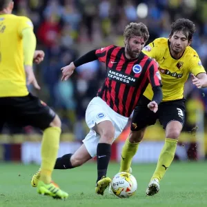 Brighton & Hove Albion vs. Watford: 2014-15 Away Game Brighton & Hove Albion vs. Watford: 2014-15 Away Game