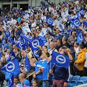 Brighton and Hove Albion vs. Watford: 2021-22 Premier League Battle at American Express Community Stadium