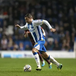 Brighton & Hove Albion vs. Watford (28-10-2013): Fright Night Home Game Brighton & Hove Albion vs. Watford (28-10-2013): Fright Night Home Game