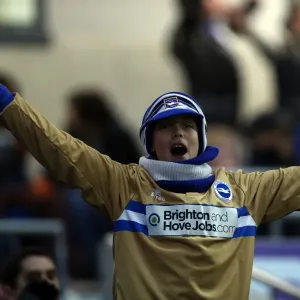 Brighton & Hove Albion vs. Watford (29-12-2012) - A Glimpse into the 2012-13 Home Season