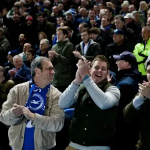 Brighton & Hove Albion vs. Watford: A Home Battle (2011-12 Season) Brighton & Hove Albion vs. Watford: A Home Battle (2011-12 Season)