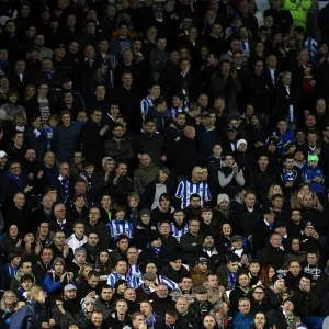 Brighton & Hove Albion vs. Watford: A Nostalgic Look Back at the December 29, 2012 Home Game