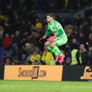 Brighton and Hove Albion vs. Watford: Premier League Clash at American Express Community Stadium (08FEB20) Brighton and Hove Albion vs. Watford: Premier League Clash at American Express Community Stadium (08FEB20)
