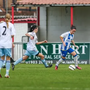 Brighton & Hove Albion vs. West Ham United: 2013-14 Women's Football Match