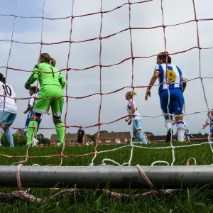 Brighton & Hove Albion vs. West Ham United: 2013-14 Women's Football Match