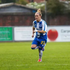 Brighton & Hove Albion vs. West Ham United: 2013-14 Women's Football Match
