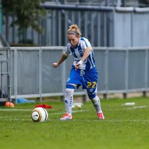 Brighton & Hove Albion vs. West Ham United: 2013-14 Women's Football Match
