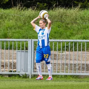 Brighton & Hove Albion vs. West Ham United: 2013-14 Women's Football Match