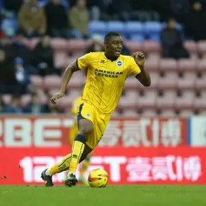 Brighton & Hove Albion vs. Wigan Athletic: 2013-14 Season - Away Game Brighton & Hove Albion vs. Wigan Athletic: 2013-14 Season - Away Game