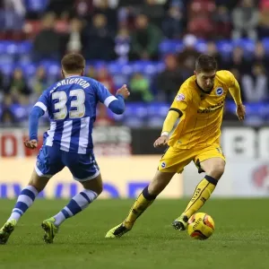 Brighton & Hove Albion vs. Wigan Athletic: Away Game - November 2013 Brighton & Hove Albion vs. Wigan Athletic: Away Game - November 2013