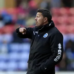 Brighton & Hove Albion vs. Wigan Athletic: Away Game - November 2013 (Season 2013-14) Brighton & Hove Albion vs. Wigan Athletic: Away Game - November 2013 (Season 2013-14)