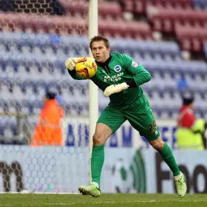 Brighton & Hove Albion vs. Wigan Athletic: Away Game - November 2013 (Season 2013-14) Brighton & Hove Albion vs. Wigan Athletic: Away Game - November 2013 (Season 2013-14)