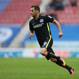 Brighton & Hove Albion vs. Wigan Athletic: October 22, 2016 - Season 2016-17: A Battle on the Field Brighton & Hove Albion vs. Wigan Athletic: October 22, 2016 - Season 2016-17: A Battle on the Field