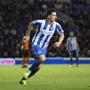 Brighton and Hove Albion vs. Wolverhampton Wanderers: Sky Bet Championship Showdown at American Express Community Stadium (19th October 2016)