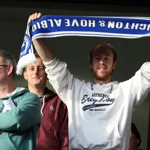 Brighton & Hove Albion vs. Wolves: 2012-13 Away Game Brighton & Hove Albion vs. Wolves: 2012-13 Away Game