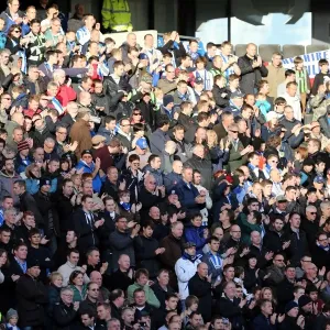 Brighton & Hove Albion vs. Wolves: 2012-13 Away Game Brighton & Hove Albion vs. Wolves: 2012-13 Away Game