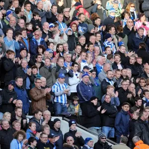 Brighton & Hove Albion vs. Wolves: 2012-13 Away Game Brighton & Hove Albion vs. Wolves: 2012-13 Away Game