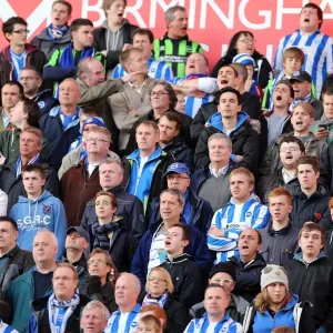 Brighton & Hove Albion vs. Wolves: 2012-13 Away Game Brighton & Hove Albion vs. Wolves: 2012-13 Away Game