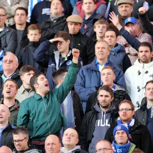 Brighton & Hove Albion vs. Wolves: 2012-13 Away Game Brighton & Hove Albion vs. Wolves: 2012-13 Away Game