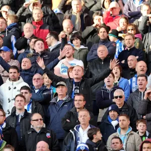 Brighton & Hove Albion vs. Wolves: 2012-13 Away Game Brighton & Hove Albion vs. Wolves: 2012-13 Away Game