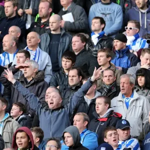 Brighton & Hove Albion vs. Wolves: 2012-13 Away Game Brighton & Hove Albion vs. Wolves: 2012-13 Away Game