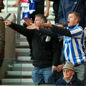 Brighton & Hove Albion vs. Wolves: 2012-13 Away Game Brighton & Hove Albion vs. Wolves: 2012-13 Away Game