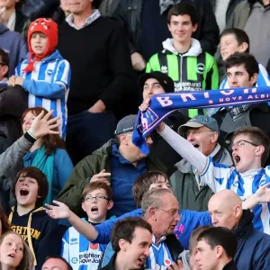 Brighton & Hove Albion vs. Wolves: 2012-13 Away Game Brighton & Hove Albion vs. Wolves: 2012-13 Away Game