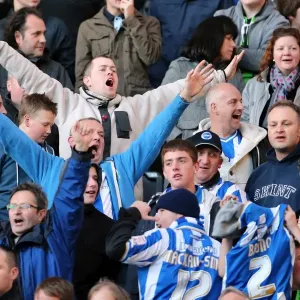 Brighton & Hove Albion vs. Wolves: 2012-13 Away Game Brighton & Hove Albion vs. Wolves: 2012-13 Away Game