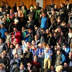 Brighton & Hove Albion vs. Wolves: 2012-13 Away Game Brighton & Hove Albion vs. Wolves: 2012-13 Away Game