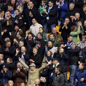 Brighton & Hove Albion vs. Wolves: 2012-13 Away Game Brighton & Hove Albion vs. Wolves: 2012-13 Away Game