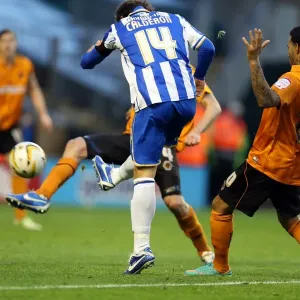 Brighton & Hove Albion vs. Wolves: 2012-13 Away Game Brighton & Hove Albion vs. Wolves: 2012-13 Away Game