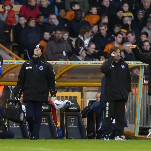 Brighton & Hove Albion vs. Wolves: 2012-13 Away Game Brighton & Hove Albion vs. Wolves: 2012-13 Away Game