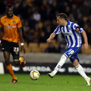 Brighton & Hove Albion vs. Wolves: 2012-13 Away Game Brighton & Hove Albion vs. Wolves: 2012-13 Away Game
