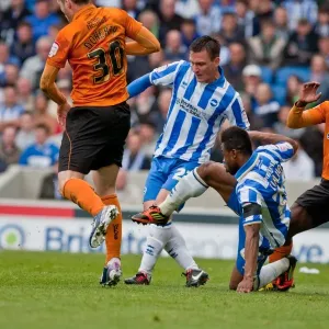 Brighton & Hove Albion vs. Wolves: 2012-13 Home Game Brighton & Hove Albion vs. Wolves: 2012-13 Home Game