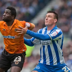 Brighton & Hove Albion vs. Wolves: 2012-13 Home Game Brighton & Hove Albion vs. Wolves: 2012-13 Home Game