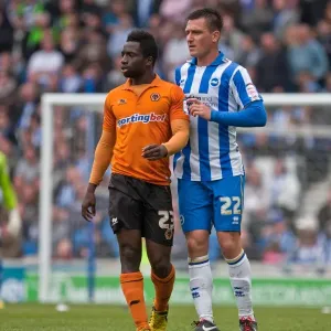 Brighton & Hove Albion vs. Wolves: 2012-13 Home Game Brighton & Hove Albion vs. Wolves: 2012-13 Home Game