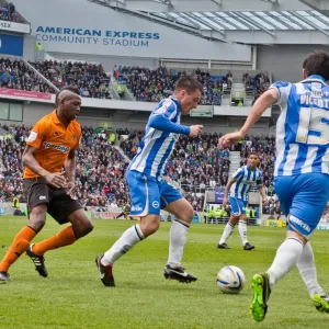 Brighton & Hove Albion vs. Wolves: 2012-13 Home Game Brighton & Hove Albion vs. Wolves: 2012-13 Home Game
