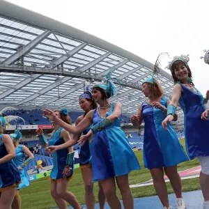Brighton & Hove Albion vs. Wolves: 2012-13 Home Game Brighton & Hove Albion vs. Wolves: 2012-13 Home Game