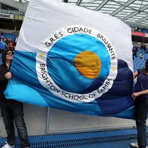Brighton & Hove Albion vs. Wolves: 2012-13 Home Game Brighton & Hove Albion vs. Wolves: 2012-13 Home Game