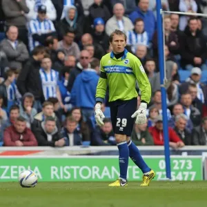 Brighton & Hove Albion vs. Wolves: 2012-13 Home Game Brighton & Hove Albion vs. Wolves: 2012-13 Home Game