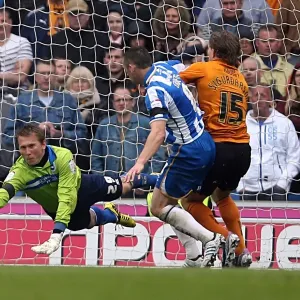 Brighton & Hove Albion vs. Wolves: 2012-13 Home Game Brighton & Hove Albion vs. Wolves: 2012-13 Home Game